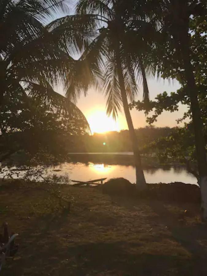 Pe Na Areia Vista Total Mar - O Paraiso E Aqui! サルバドール エクステリア 写真