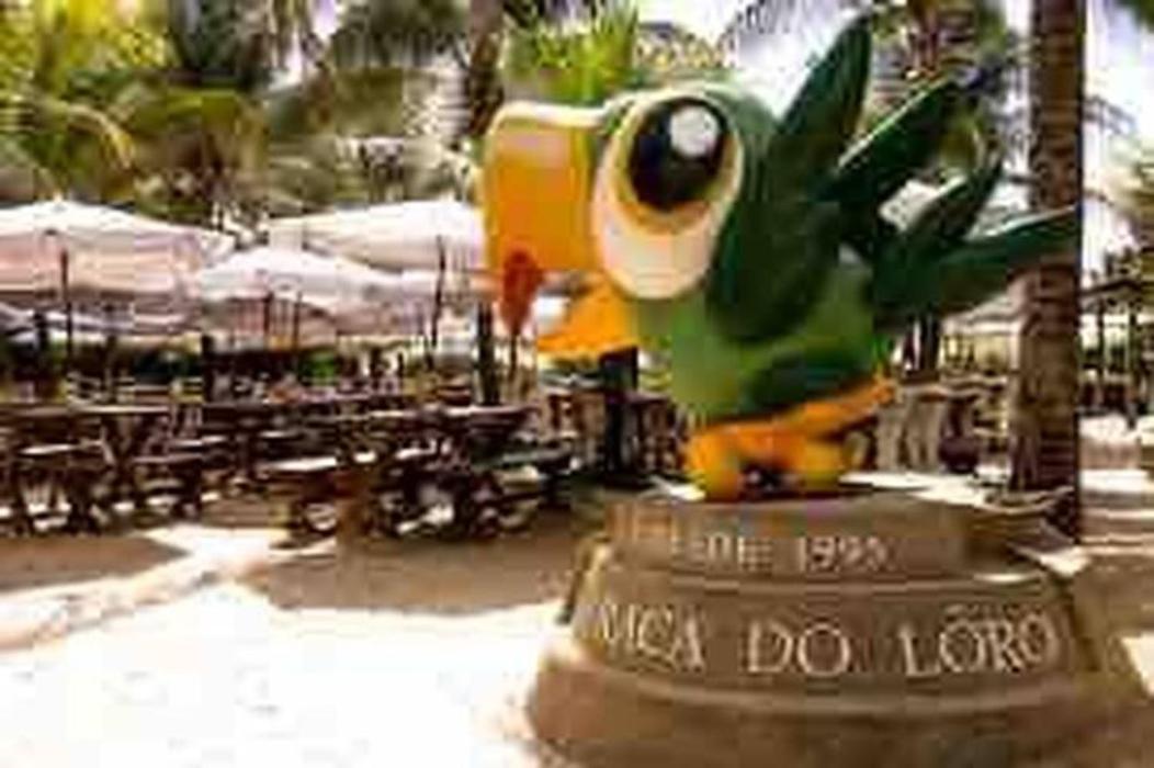 Pe Na Areia Vista Total Mar - O Paraiso E Aqui! サルバドール エクステリア 写真